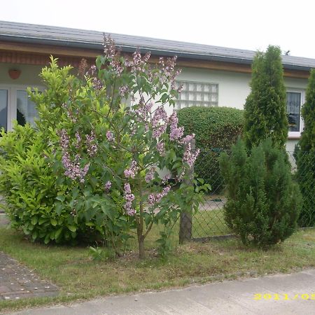 Ferienhaus Am Neuklostersee Εξωτερικό φωτογραφία
