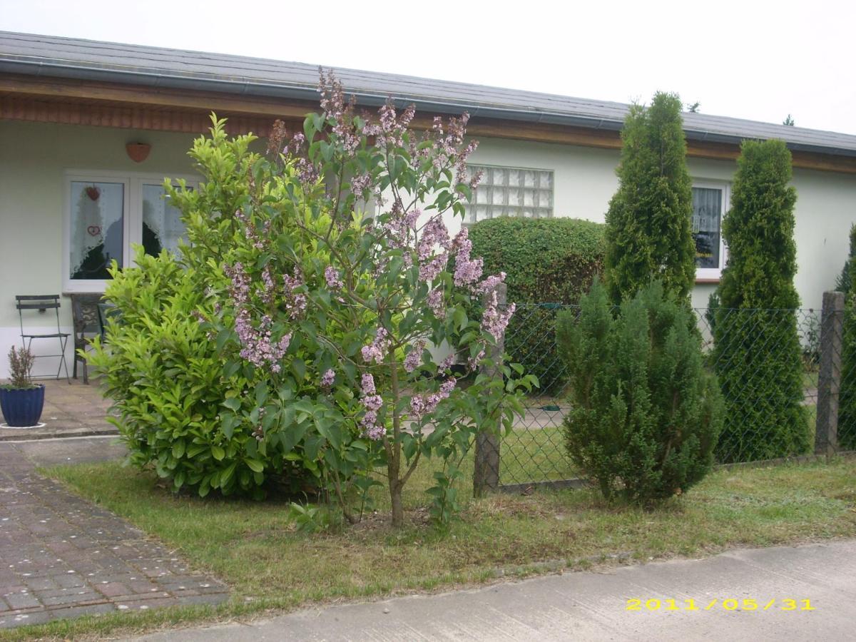 Ferienhaus Am Neuklostersee Εξωτερικό φωτογραφία