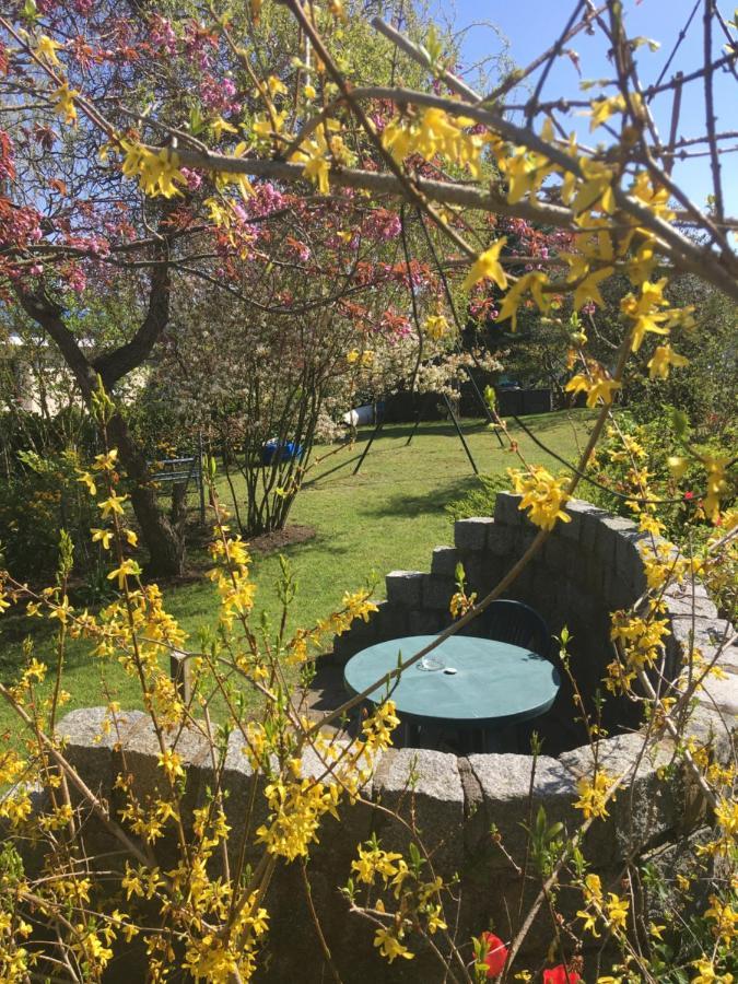Ferienhaus Am Neuklostersee Εξωτερικό φωτογραφία
